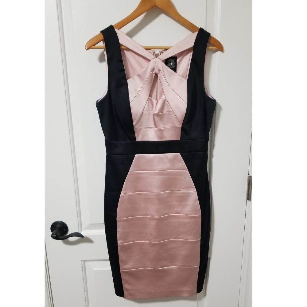 Pink and Black Form Fitting Sleeveless…
